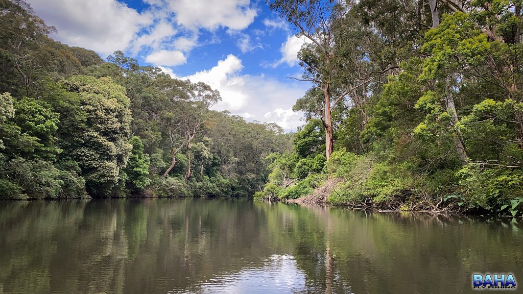 The Lane Cove River