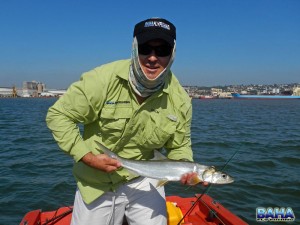 Nick With A Springer