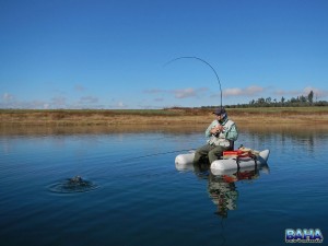 Neill fighting a nice rainbow trout