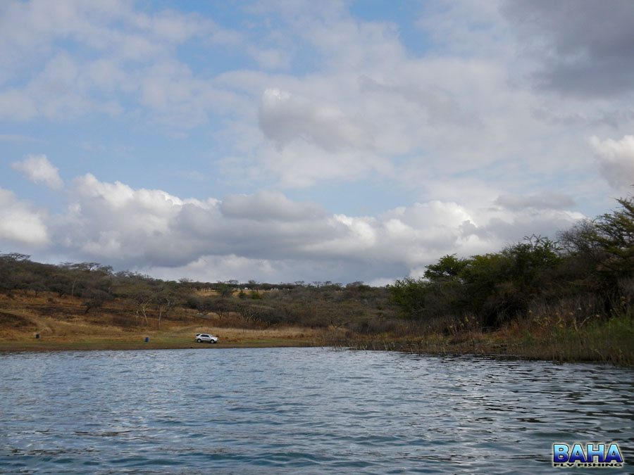View while fly fishing Albert Falls from a float tube