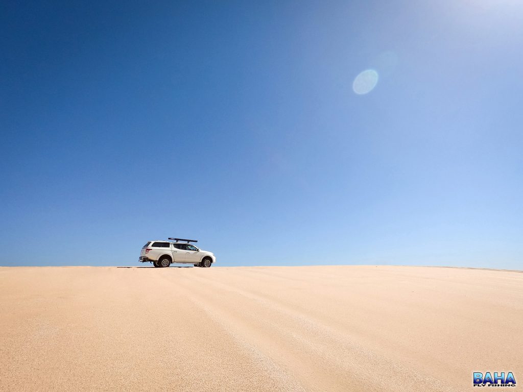 Exploring the Stockton dunes