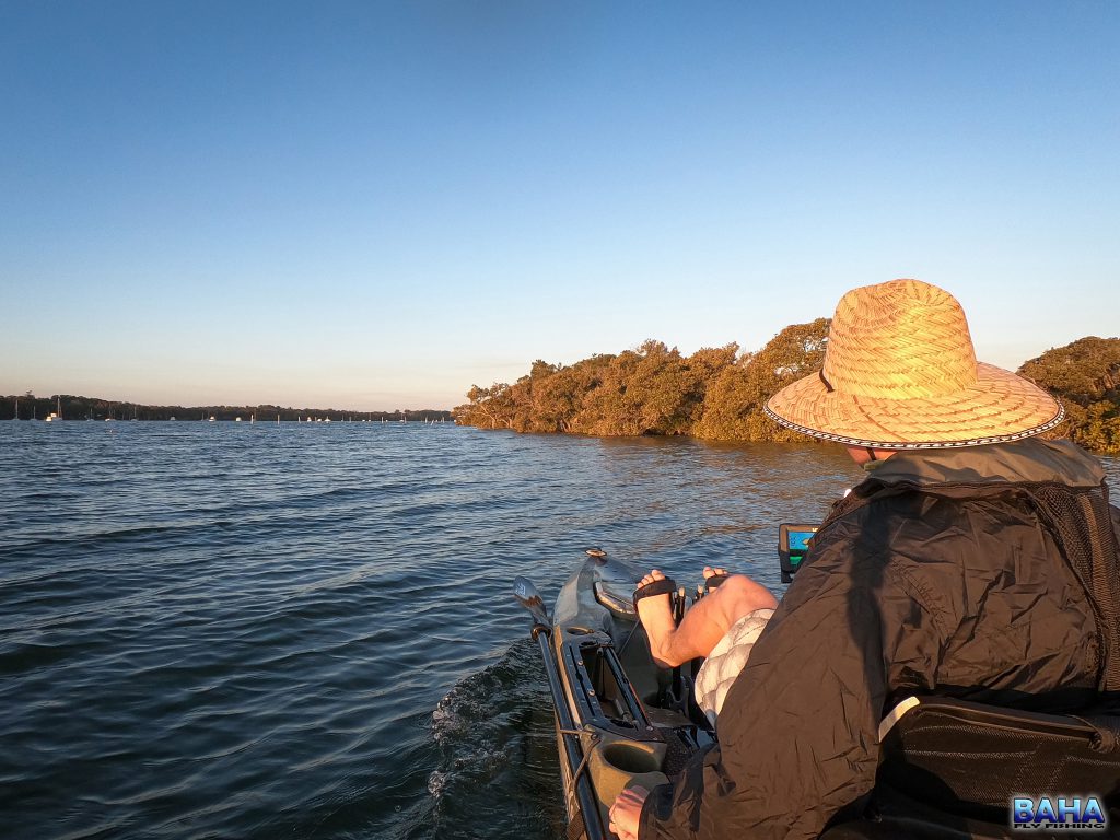 Kayak fishing Tilligerry Creek