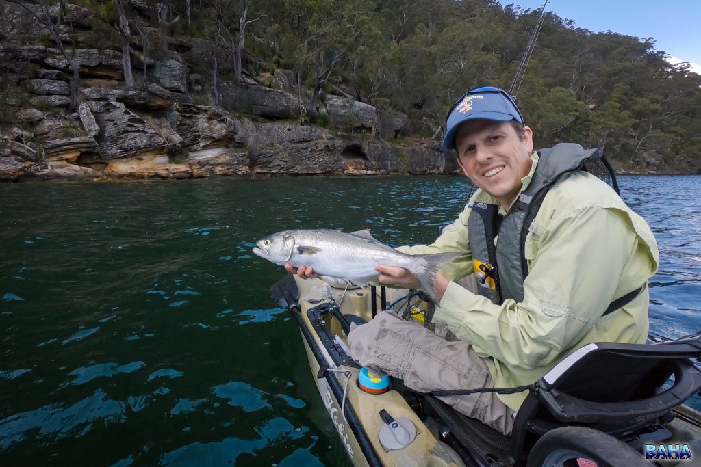 Warren Prior with a nice tailor caught off the kayak in Cowan Creek