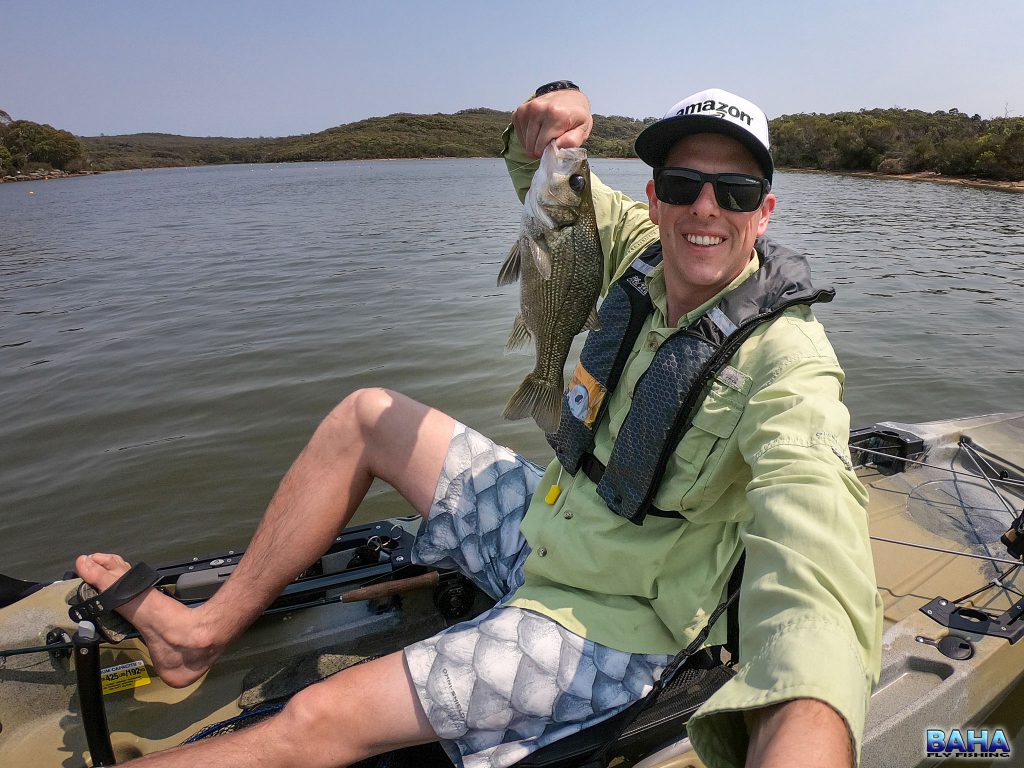 An Aussie bass, landed at Manly Dam