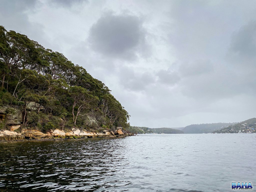 One of the headlands in Middle Harbour