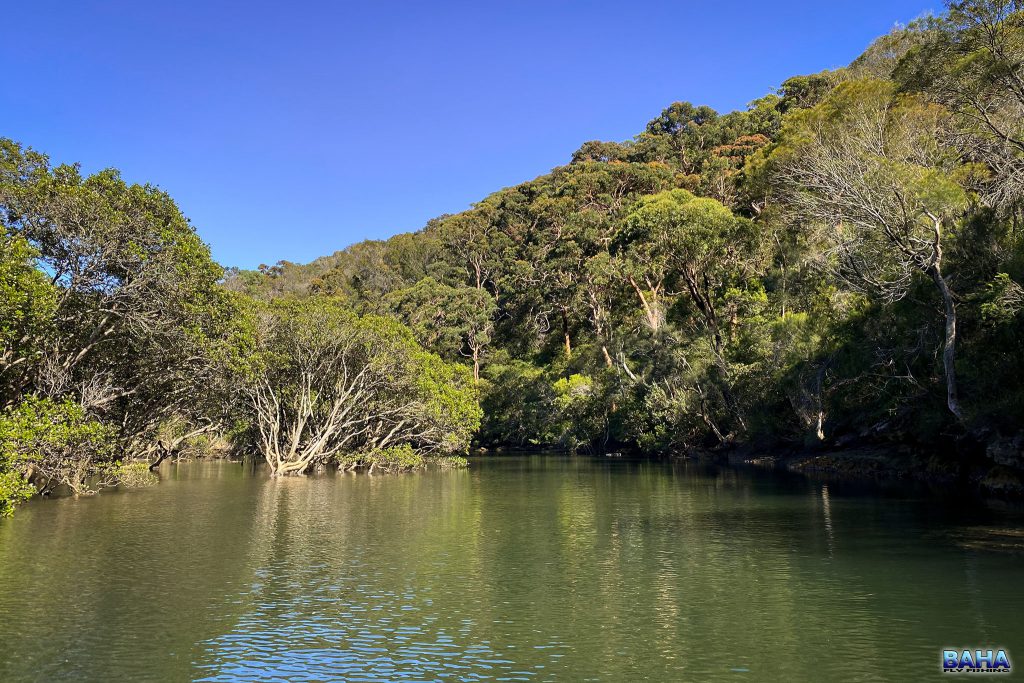 Gorgeous bays with mangroves