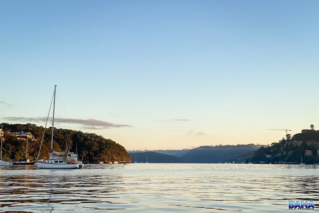 Sunrise in Middle Harbour