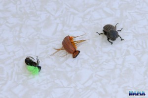 A beetle, and beetle imitations