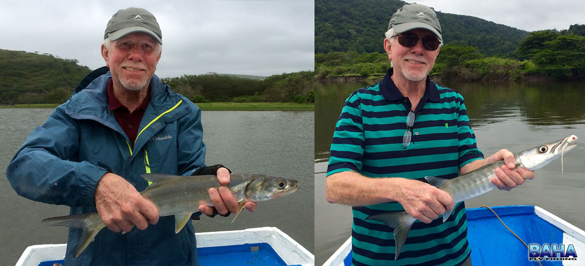 Clive with a springer and pickhandle barracuda at Umngazi