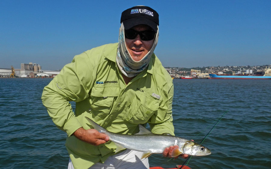 Nick With A Durban Harbour Springer