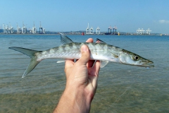 Durban Harbour
