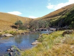A Shot Of The Mooi