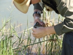 Removing The Fly