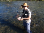 Wild Rainbow Trout