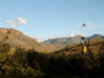Golden Orb View