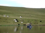 Fly Fishing Granchester