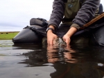 Another Trout Release Shot