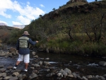 Nick Battling The Bushmans