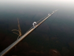 Iced Up Fly Rod Eyes