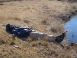 Dave Relaxing