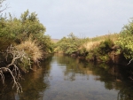 The Mooi River At Kamberg #1