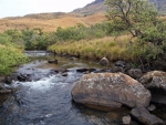 The Mooi River At Kamberg #2