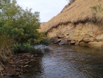 The Mooi River At Kamberg #3
