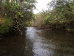 The Mooi River At Kamberg #4