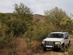 The Jeep