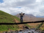 Looking For Fish