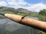 Fly Of The Day - The Kamberg Nymph