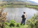 Warren Prior Fishing Kamberg - Panorama