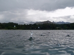 Rain On Lake Naveron
