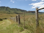 The Otter Fence At Kamberg