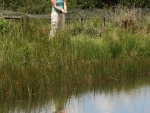 Fly Fishing Reflections