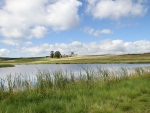 View Across Dam 9 At Mondi