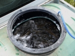 Energised, Oxygenated Trout