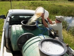 Adding Dam Water To Acclimatise Fish