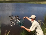 Stocking The Trout