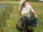 Running To The Water With Trout
