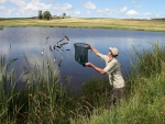 Stocking The Rainbow Trout