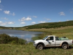 Stocking Dam 8