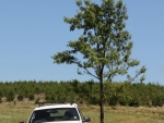 The Jeep Parked At Dam 8