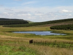 View Of Dam 9