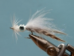 A Squid Tied By Warren Prior