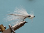 A Squid Tied By Nick Nortje