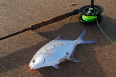 Post Work Fish