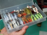 Some Flies