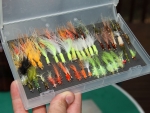 More Flies