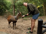 Warren Prior Feeding A Bushbuck